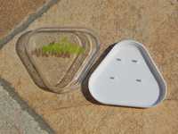 Cutiuta din plastic pentru casti Mirinda cu capac transparent