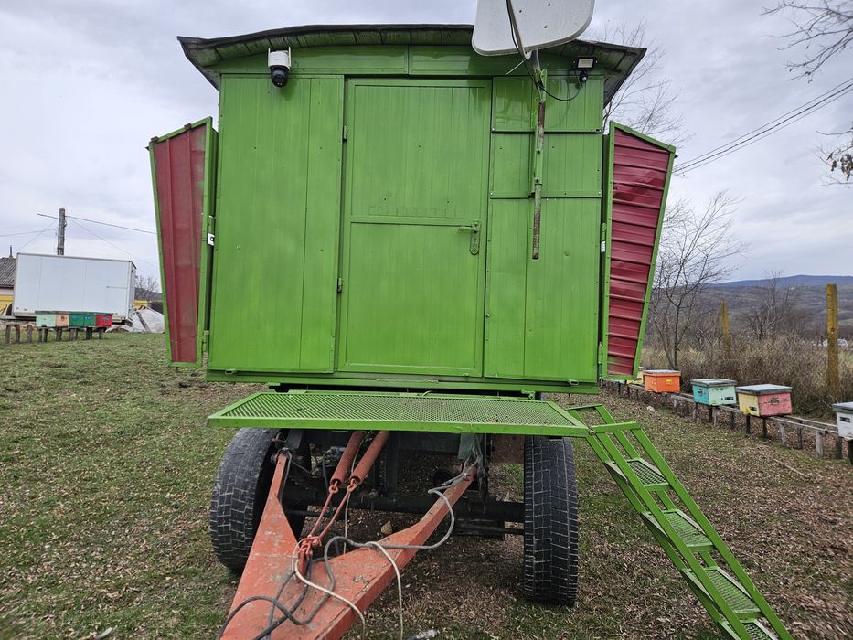 Vand pavilion apicol