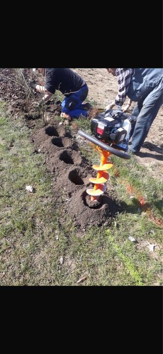 Gard Viu / Lemn Cainesc / Prindere Garantata