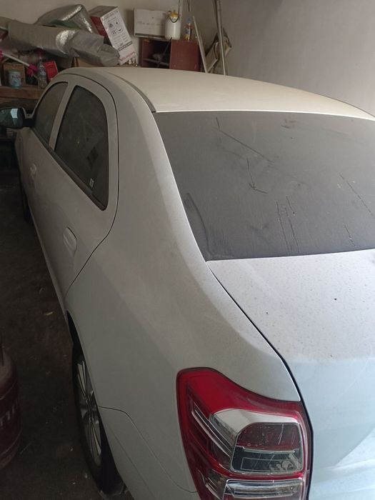 Yang 2025 Cobalt yurmagan