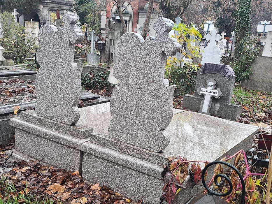 Loc de veci cimitirul Bellu
