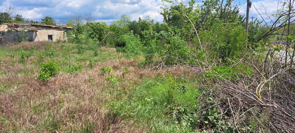 Teren intravilan Jud. Constanra