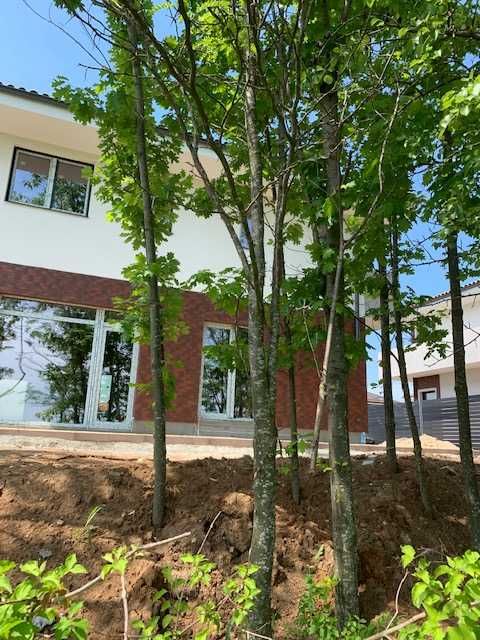 vila situata in Paradisul Verde, Corbeanca ( an 2022 ), teren 647 mp