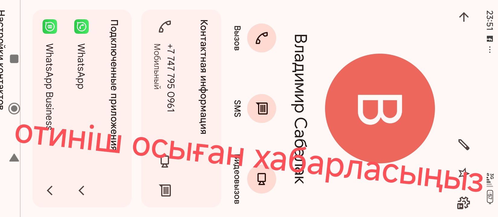 Кушік , мысық, марғаулар бар тегін