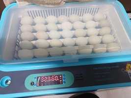Инкубатори 36 24 яйца автоматичен люпилня пилета кокошки