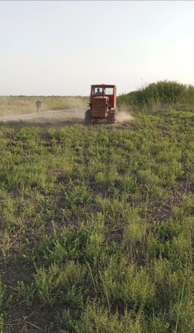 Алтай трактор. Altay traktor. Трактор т4А. Traktor t4A. С оборудование