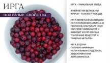 Ирга ягоды жидектер Доставка смородина клубника малина вишня