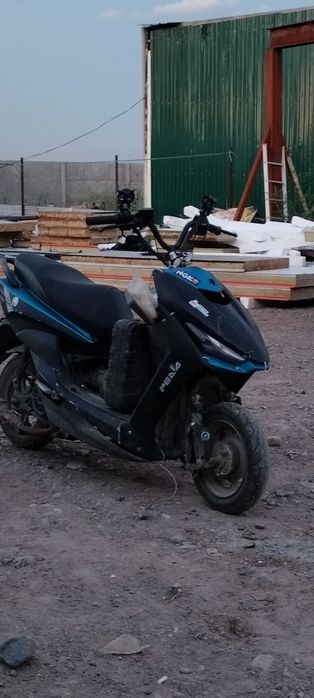 Pedo Gts sport italia