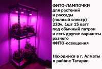 LED фито-лампы освещение и подсветка растений и рассады 9w/12w/15w