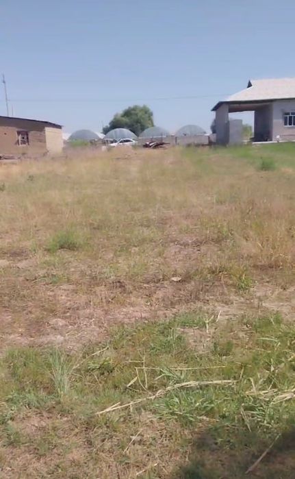 Тошкент вилояти Чиноз туман Олмазор кургони