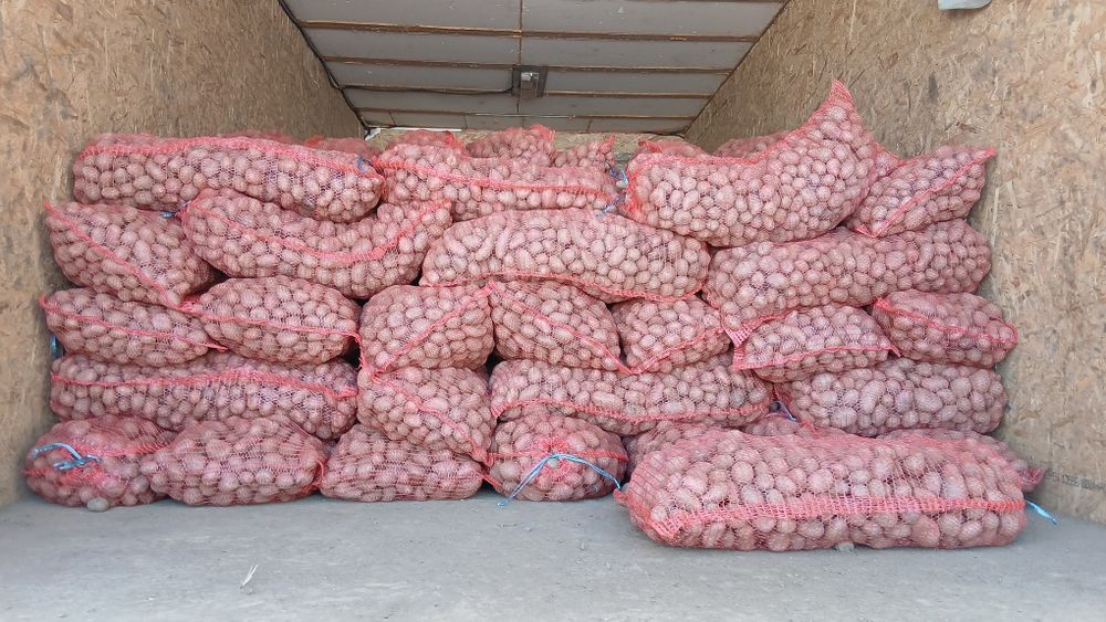 Cartofi animale 074[060]45[98)