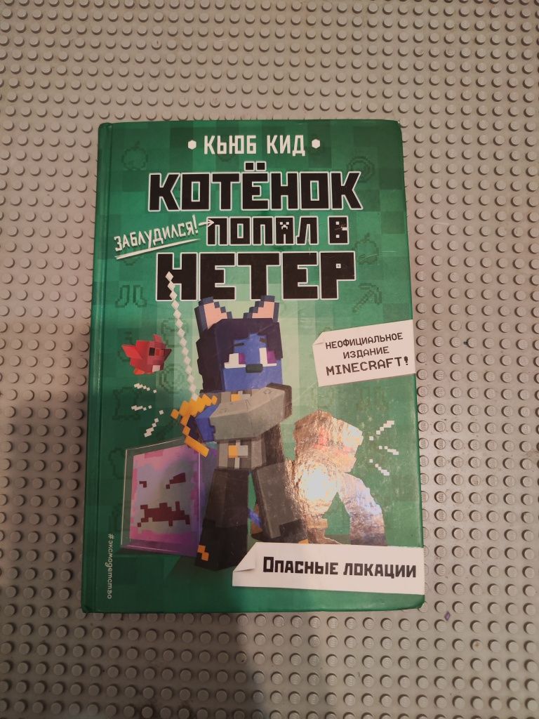 Книга «котёнок заблудился в нетере»