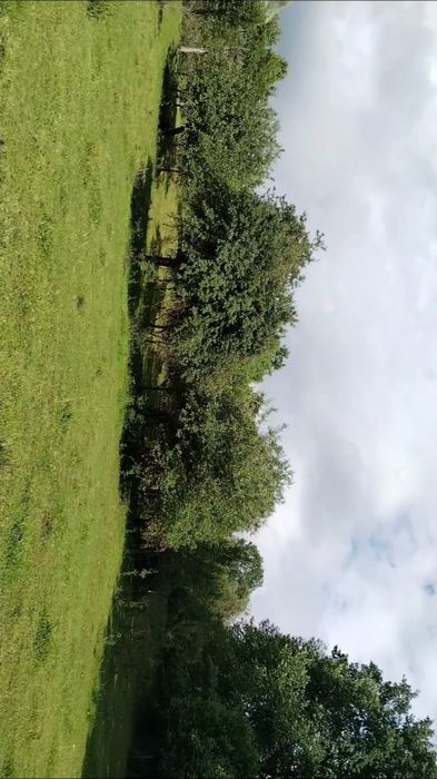 Teren extravilan în SISESTI Maramureș