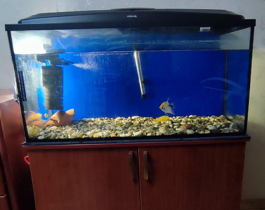 Отдам бесплатно аквариум 200л с тумбой