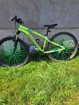 Bicicleta mtb rokraider st100