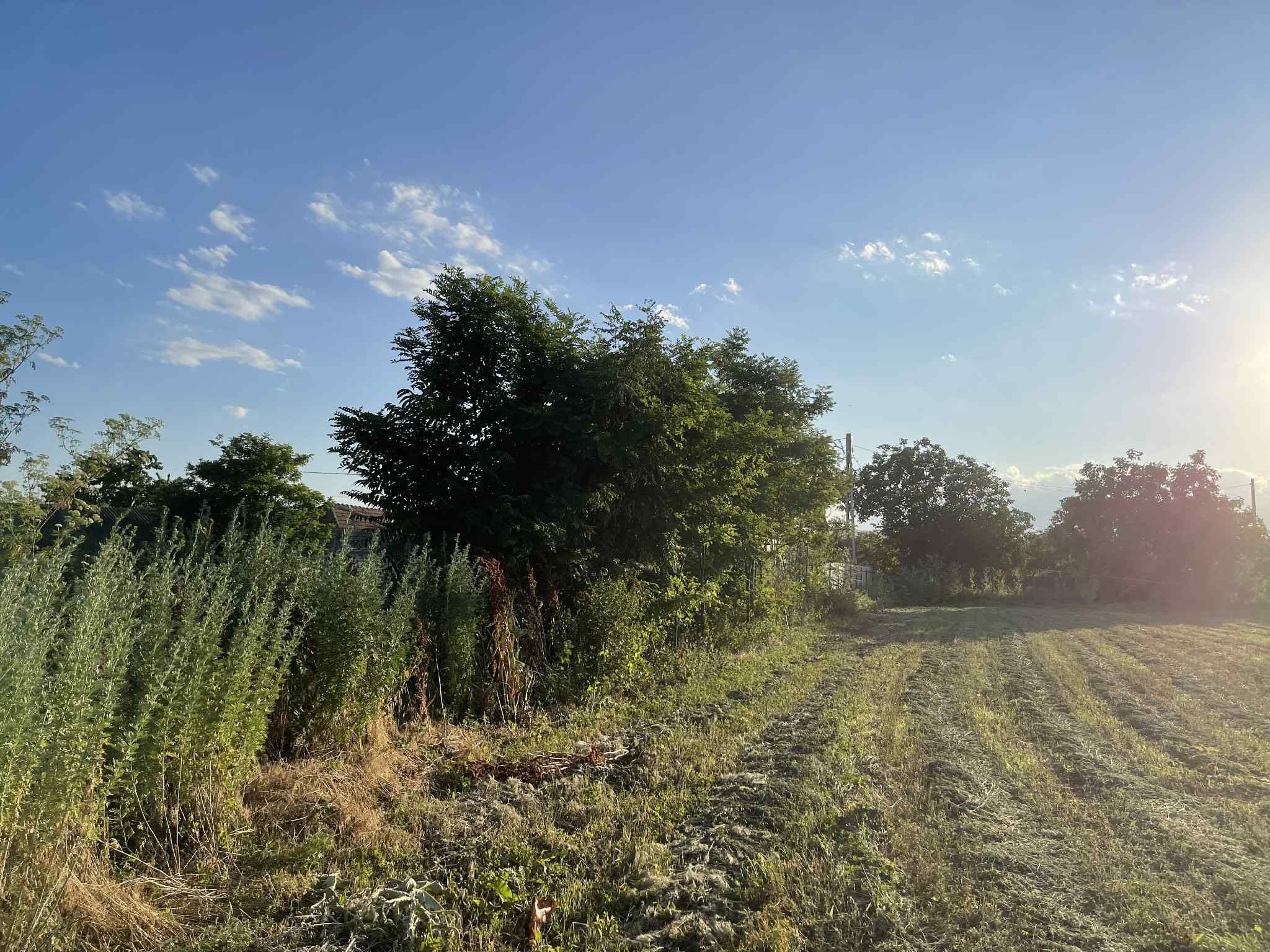 Teren intravilan 2.100 mp, Lunca Banului – cu acces direct din drum!