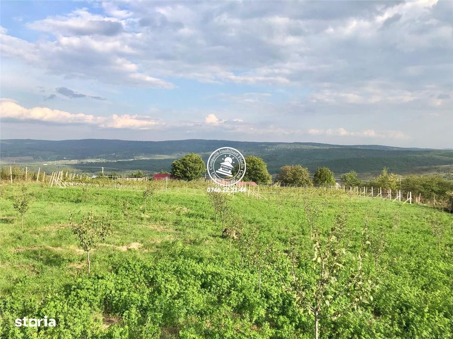 Teren intravilan in Mogosesti, Iasi - 6800mp