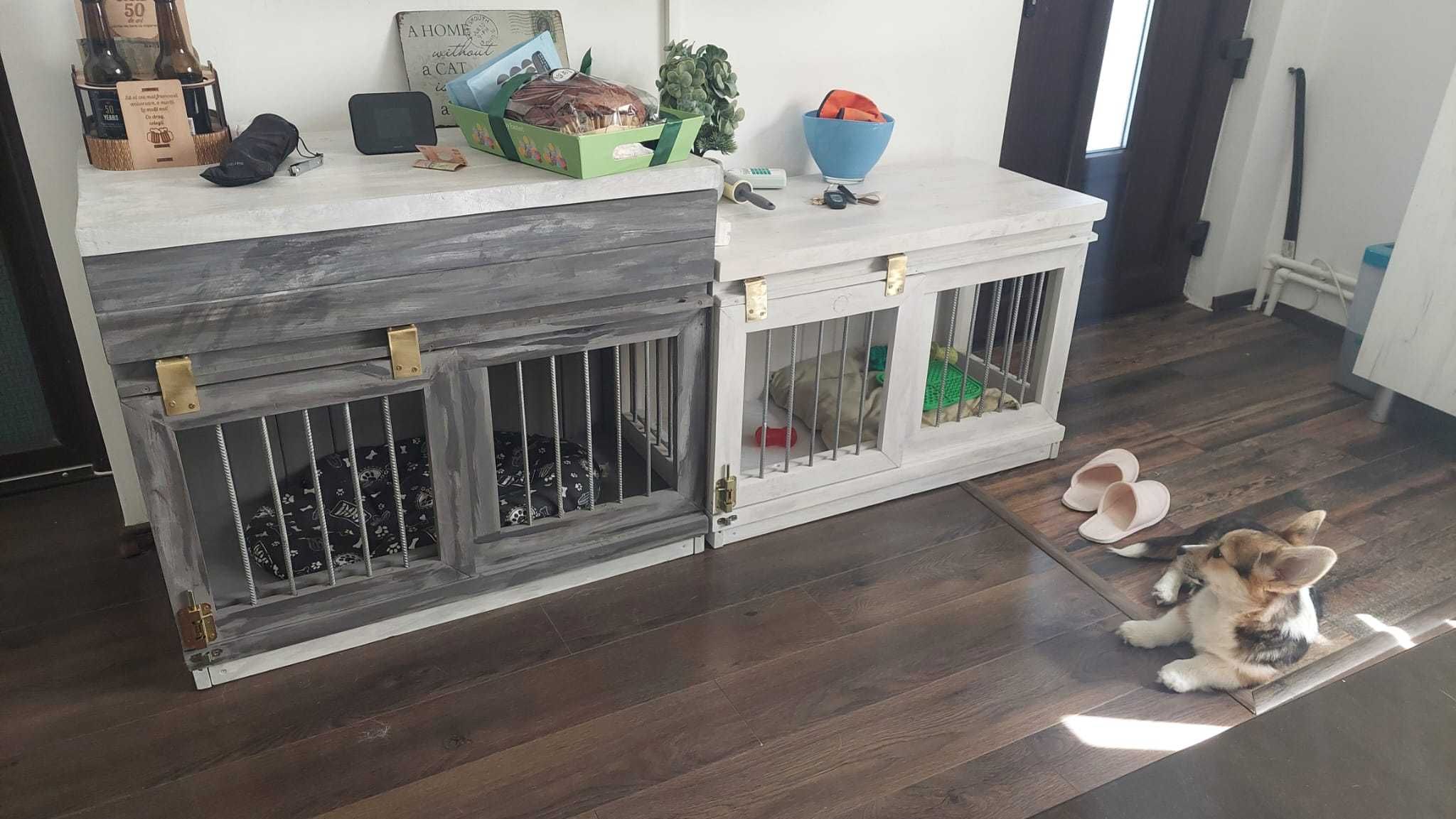 cușcă câine pisică mobila adopții canisa dresaj zgardă accesorii