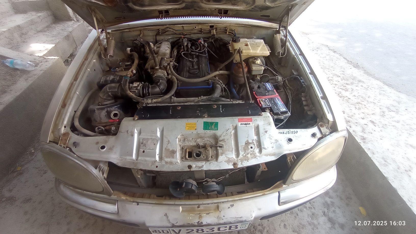 Gaz 31105 volga zaychik
