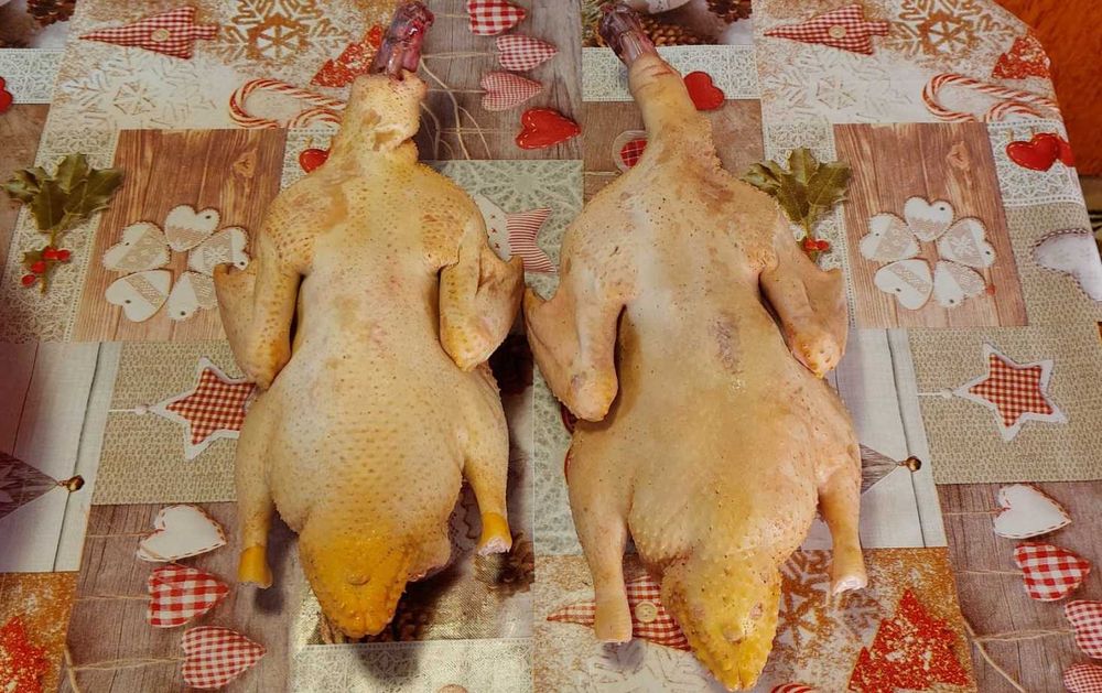 Rațe lesesti de vânzare