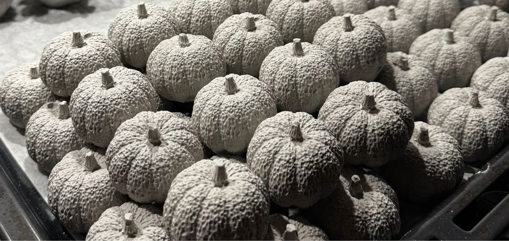 Ipsos- Set 5 dovleci din ipsos- 4 cm