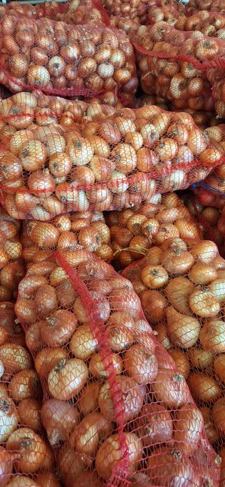 Продавам кромид лук