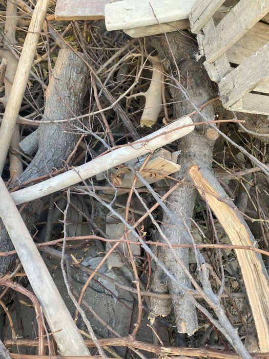 Утин бор,продаются дрова