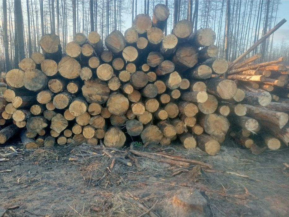 Круглый лес и доски