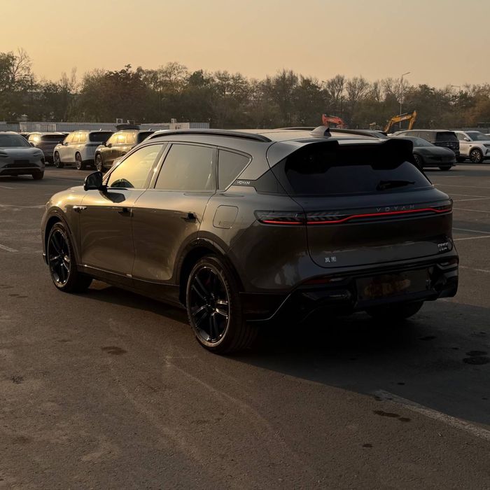 Voyah free (2025 rest)