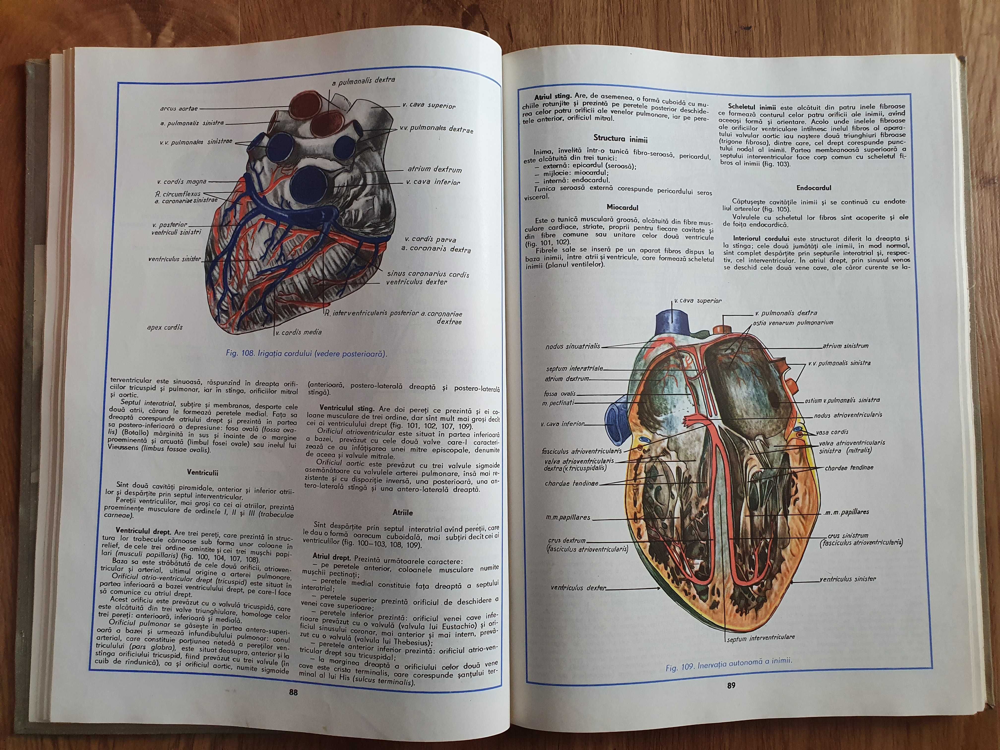 ATLAS DE ANATOMIE UMANA -  Ifrim (Volumul II - Organele Interne)