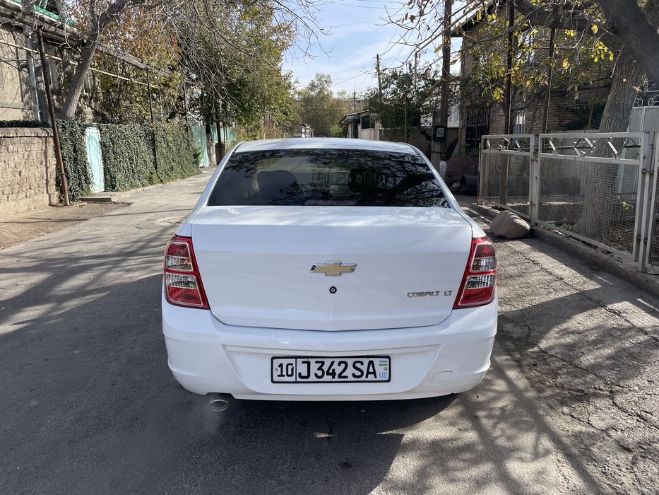 Cobalt 2019 petnolari bor suyagi butun