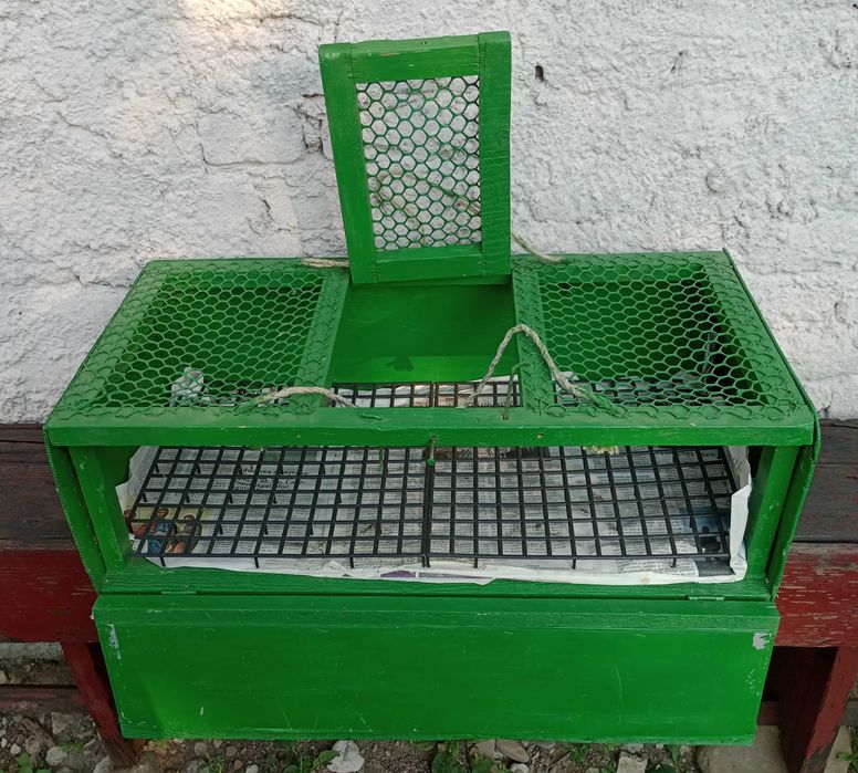 cutie pentru transport porumbei