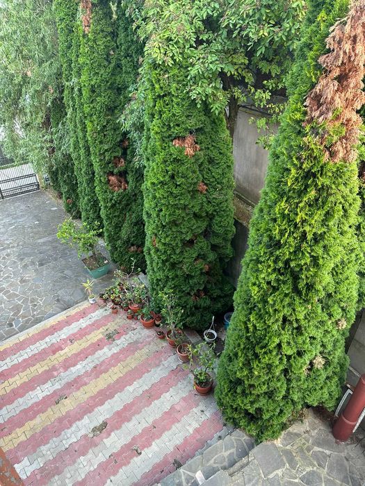 Casă spațioasă P+E 261 mp + 700 mp teren – Băicoi, direct proprietar!!
