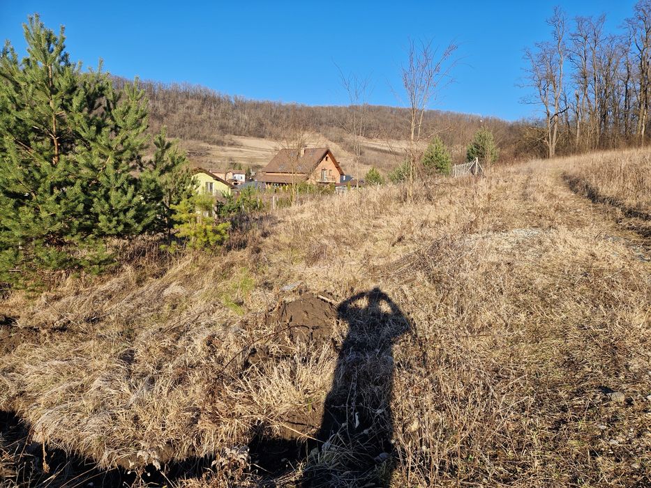 Vând teren intravilan