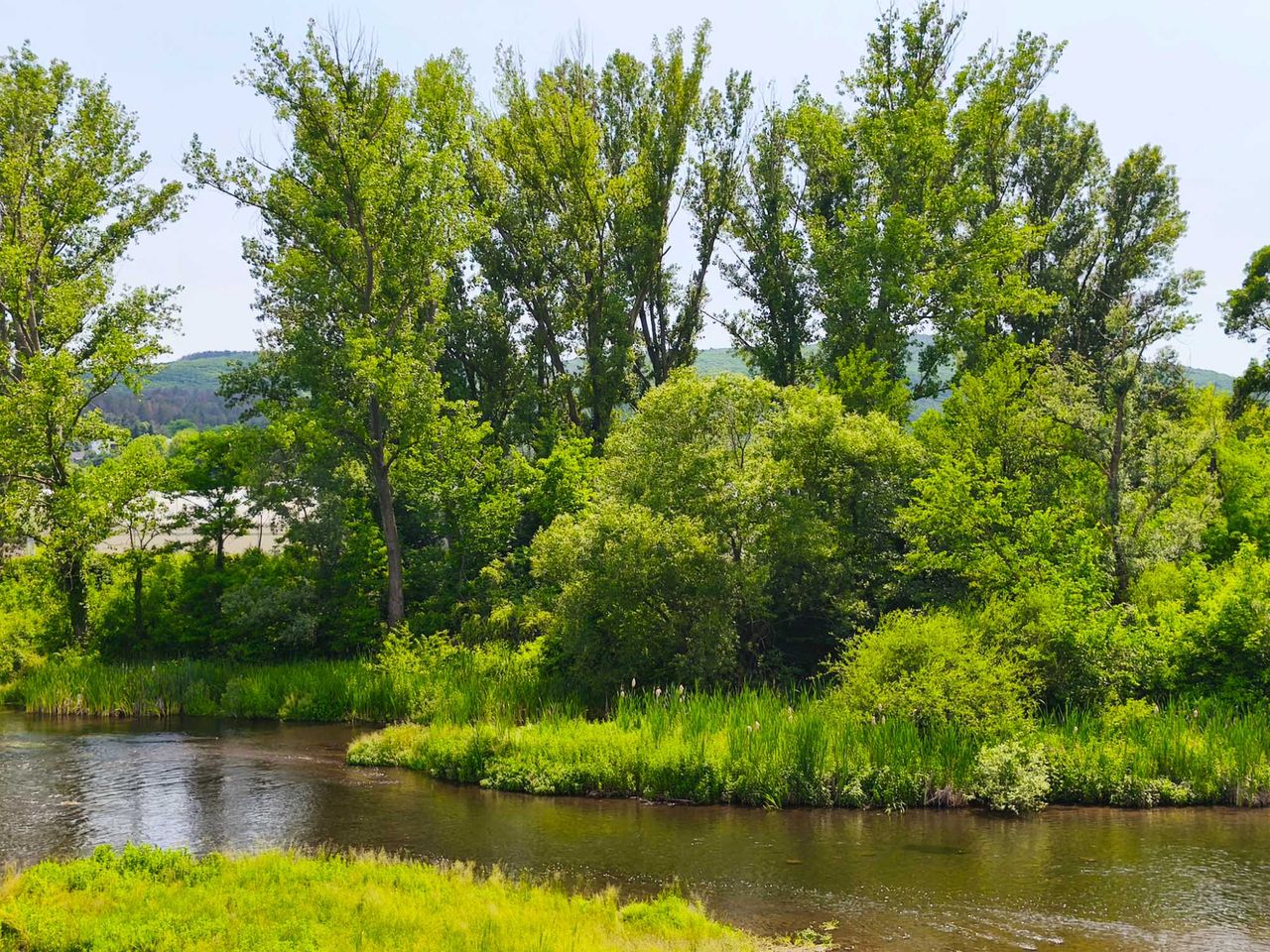Продава се Парцел в Нова Загора - 980 кв.м за 17 €/кв.м - Снимка #1