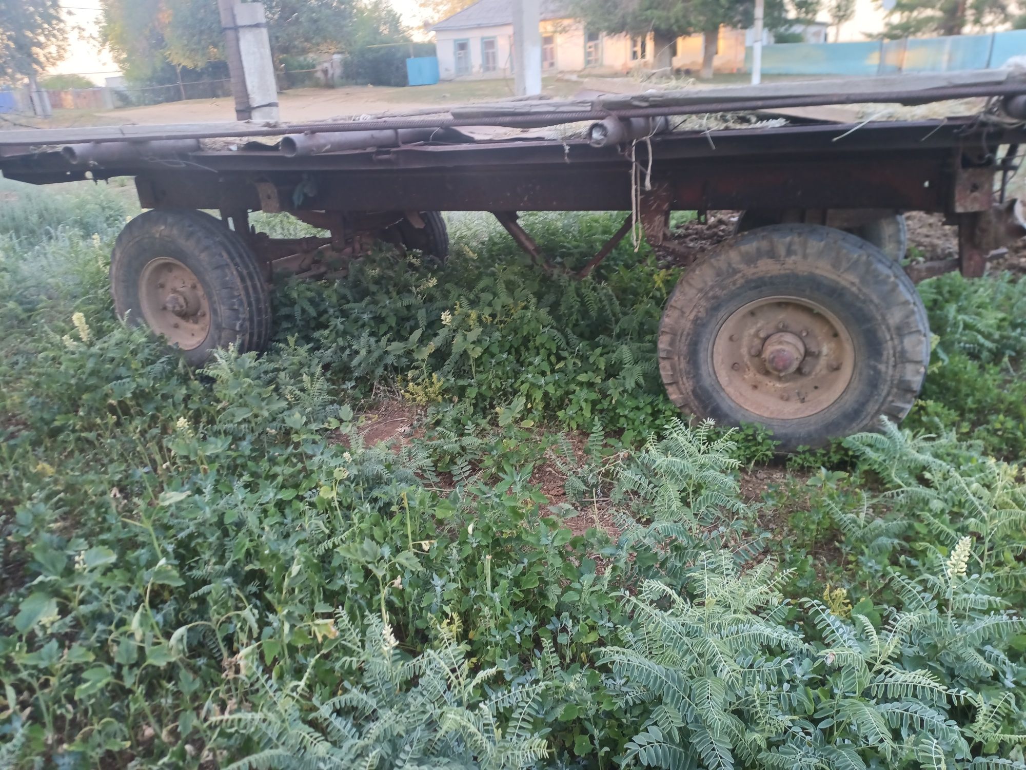 Телешка 5тн сатылады