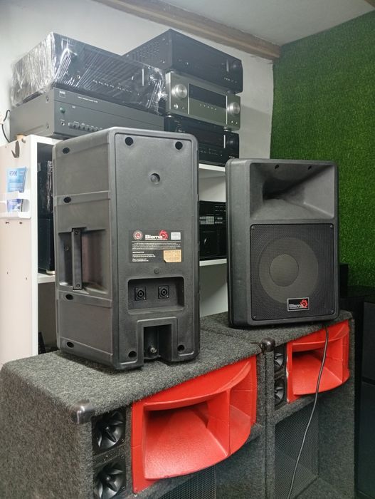 Професионални тонколони BIEMA PV-260 U.S.A.