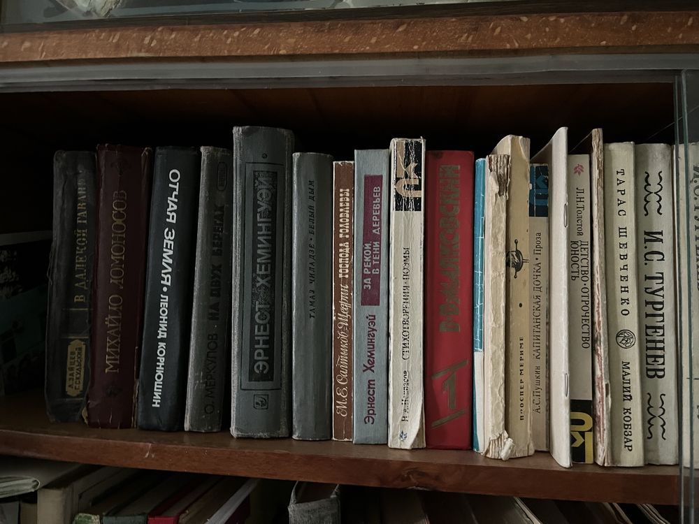 книги толстой, тургенев и тд