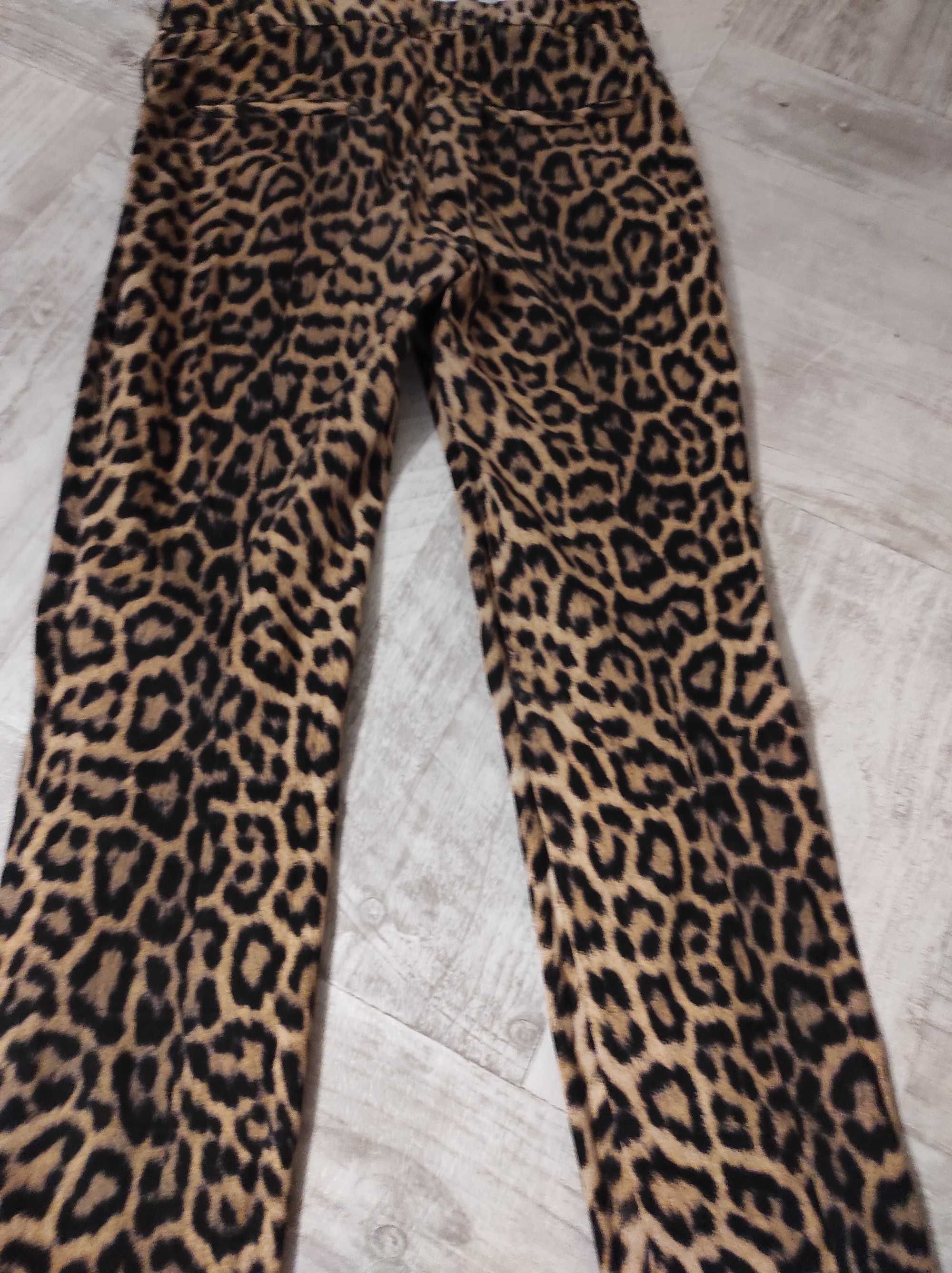 Pantaloni Zara , 36 , animal print