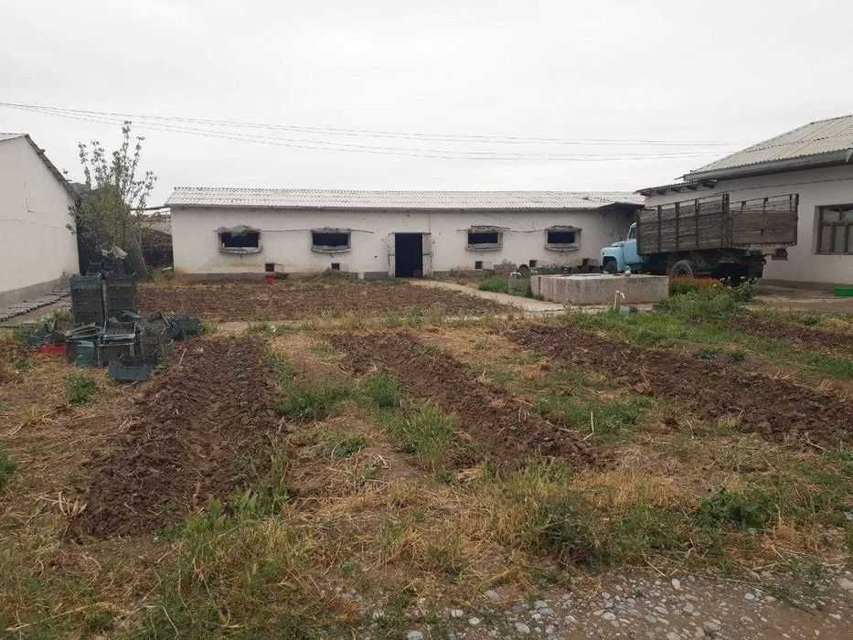 Теплица, паррандачилик, корамол Фермаси (птицеферма, иссикхона, чорва)