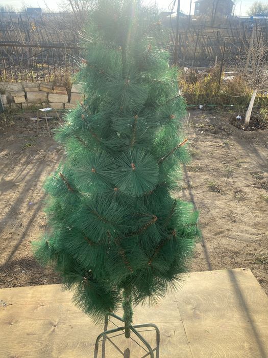 Продам елку.      .