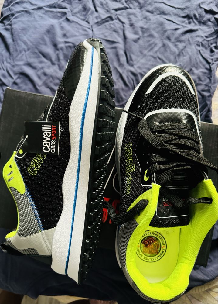 Cavalli clas sport