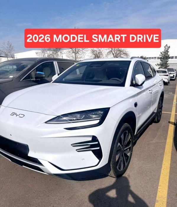 BYD Chempion smart 2026