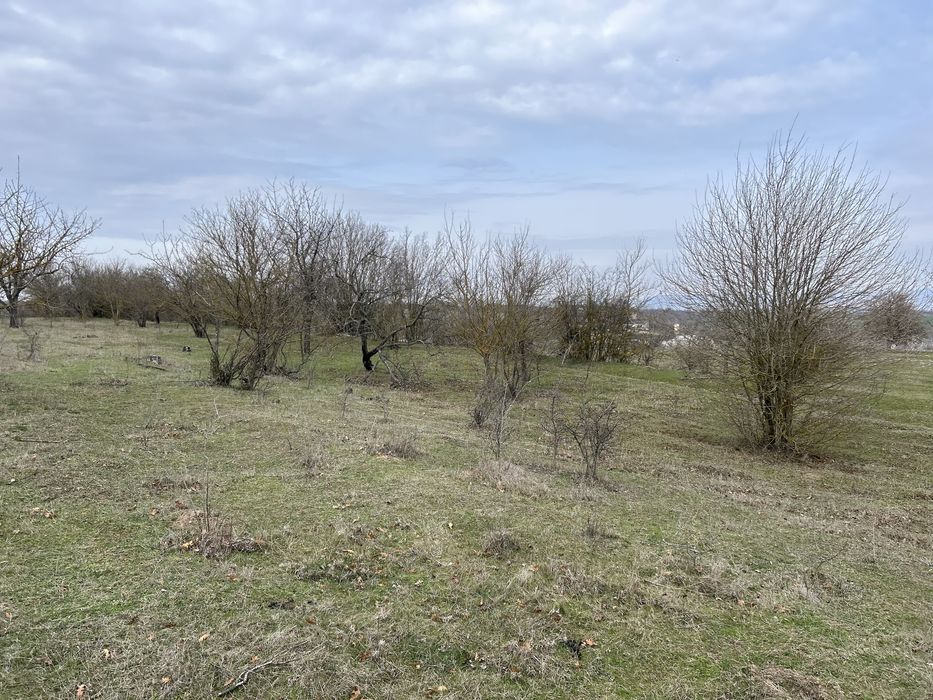 Парцел с. Константиново
