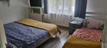 Apartamente 1- 2-3 camere regim hotelier