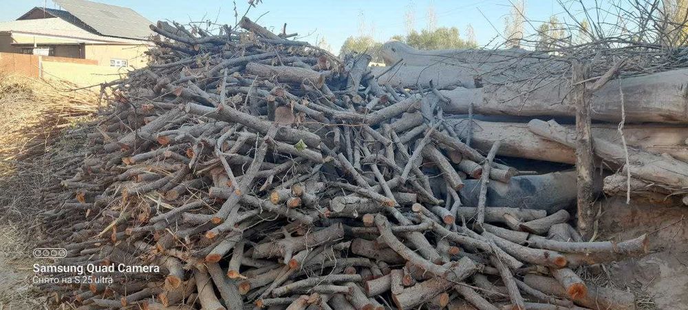 Утинлар сотилади