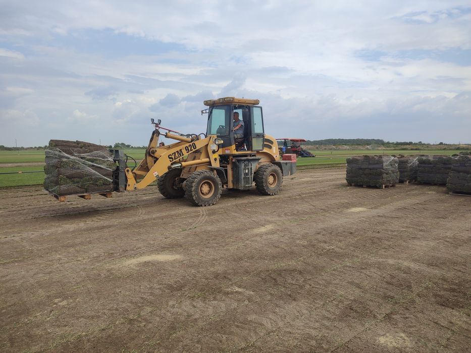 Gazon rulou sport, 24 de lei m2. Transport și montaj inclus în preț.