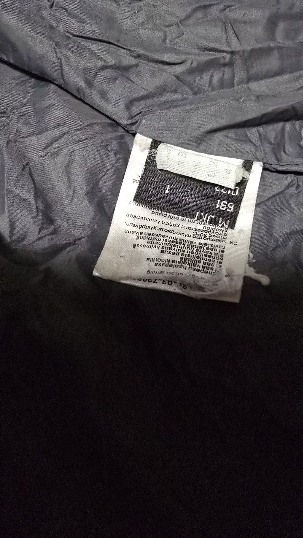 Salewa daune jacket