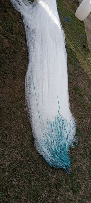 Plasa pentru păsări