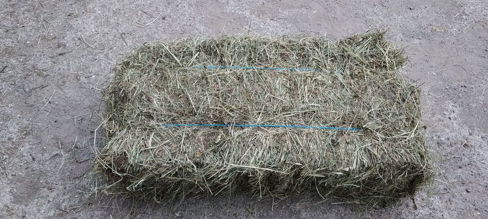 De vânzare baloți de fân, lucernă ! Se asigura transport!